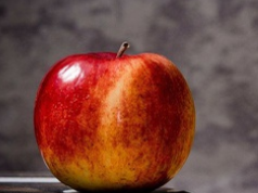 Inscription à l'événement: Webinaire seulement (1h30)